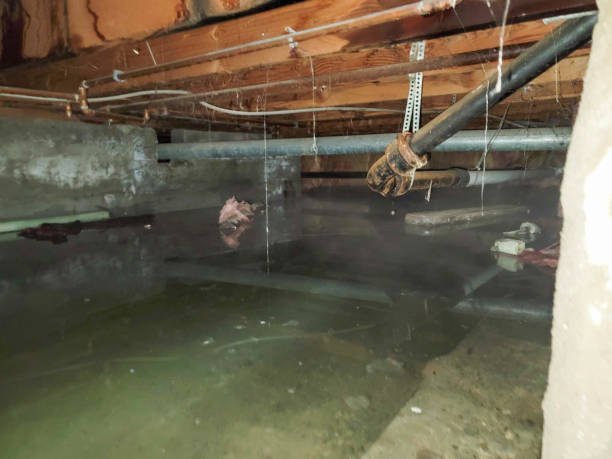 Best Commercial water damage restoration  in Holley, NY