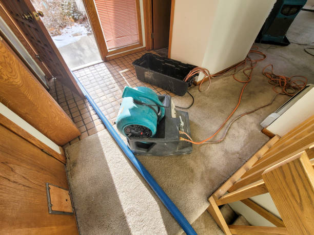 Best Water damage restoration near me  in Holley, NY